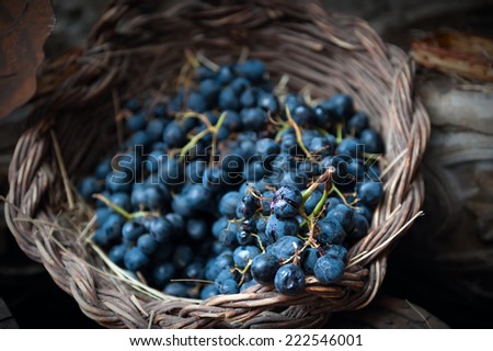 isolated clusters of grapes on wicker basket Royalty-Free Stock Photo #222546001
