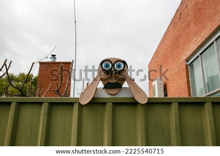 Man looks over fence with binoculars in Snowtown, Australia