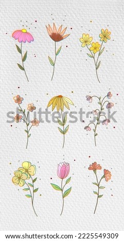 Hand drawn spring flowers collection.