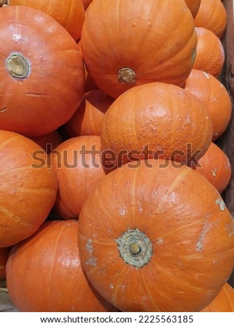 fresh pumpkins or summer squash on sale at fresh market