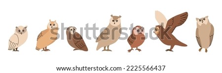 Owls set, cute funny birds. Minimal art style, smart cartoon character. 