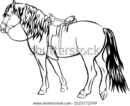 Western horse standing still, line art drawing illustrations 