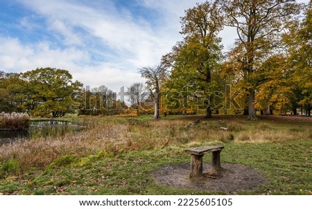 A wooden bench pictured on the edge of a small lake in Cheshire seen in the autumn of 2022 under a bright blue sky.