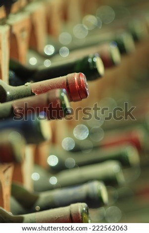 Wine cellar bottles covered with dust macro
