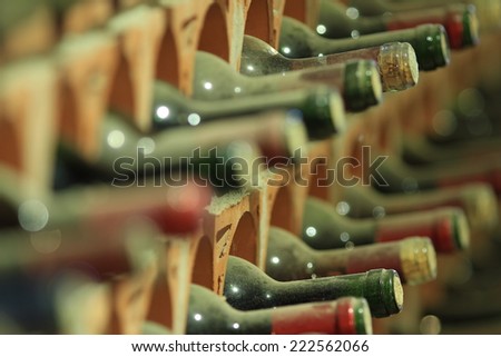 Wine cellar bottles covered with dust macro