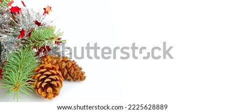 Christmas decoration of fir branch and pine cone isolated on white . Wide photo. Free space for text.