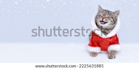 New Year greeting card. Cat in Santa costume is smiling. Kitten on the white background. Happy Kitten Santa Claus. Merry Christmas. Happy New Year. Space for text. Web banner. 2024