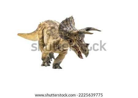 dinosaur , Triceratops on isolated background clipping path Royalty-Free Stock Photo #2225639775