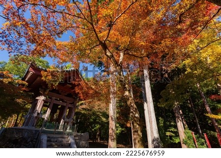 Sunny view of the beautiful fall color of Daigoji Temple at Kyoto, Japan