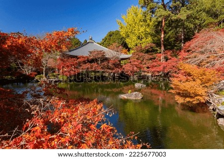 Sunny view of the beautiful fall color of Bentenike in Daigoji Temple at Kyoto, Japan
