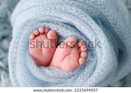 Soft feet of a newborn in a blue woolen blanket. Close-up of toes, heels and feet of a newborn baby.The tiny foot of a newborn. Studio Macro photography. Baby feet covered with isolated background. 