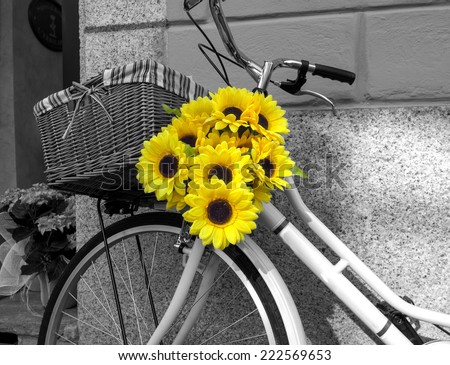 Bicycle decorated with sunflowers. BW image
