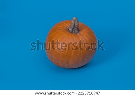 One pumpkin over blue background