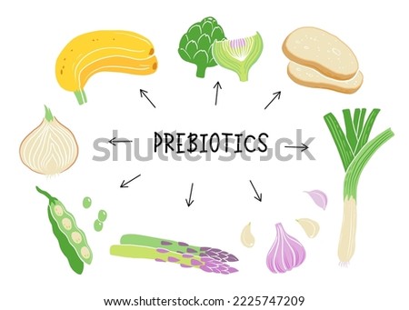 Prebiotic products, sources of these bacteria, nutrient rich food. Flat vector illustration of soy beans asparagus onion banana garlic artichoke Royalty-Free Stock Photo #2225747209