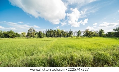 beautiful scenery in northeast thailand Royalty-Free Stock Photo #2225747227
