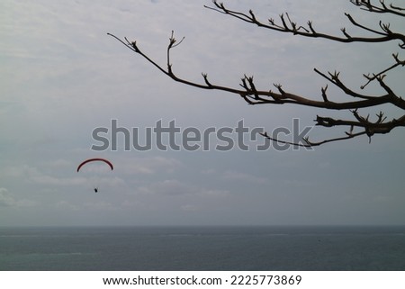 There is a person sitting on a red paragliding on the sea in the distance, and there are a few dead branches in front of the camera picture