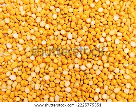 Split chickpeas legume dal chana Bengal gram lentils pulse yellow organic food full with protein harbara channa daal uncooked splitchickpea closeup view image picture stock photo.