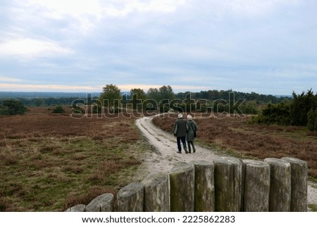 Walking trail on the Lemelerberg in the Netherlands through traditional fields of Heather on a white sand path with a couple walking together under cloudy skies Royalty-Free Stock Photo #2225862283
