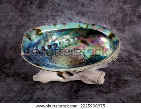 sage, palo santo and abalone in front of gray background