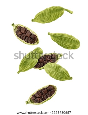 Falling Cardamom isolated on white background, clipping path, full depth of field Royalty-Free Stock Photo #2225930657