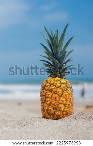 Pineapple in the sand on the beach in the caribbean coast of Colombia vertical photo version