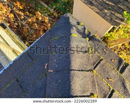 Mold, mildew, and moss growing on an old roof. The shingles have growth coming from all seams of the shingles. This suburban home is in need of a roof replacement. Royalty-Free Stock Photo #2226002289