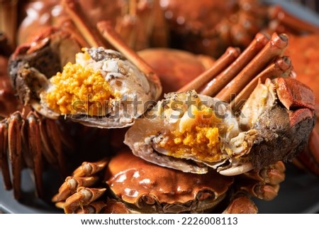 Fresh and delicious hairy crab or chinese mitten crab with crab roe background