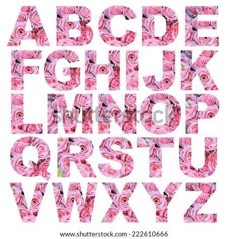 alphabet a to z made from rose flower picture