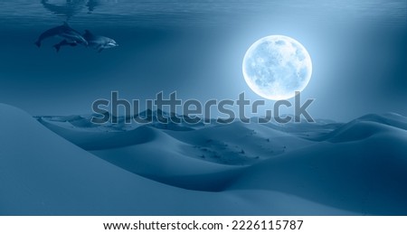 Dolphins swimming underwater in the tropical sea-Beautiful landscape with sand dunes in the Sahara desert super full moon in the background - Sahara, Morocco "Elements of this image furnished by NASA 