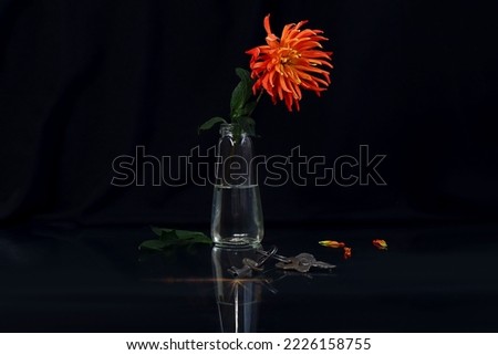 Autumn still life on a dark background: orange dahlia in a transparent glass vase, petals and leaves lie next to the vase, a bunch of keys, glare, reflection from objects, dark background