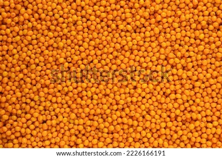 background of many ripe sea buckthorn berries Royalty-Free Stock Photo #2226166191