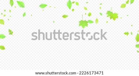 Leaves Falling. Spring Flying Foliage. Chaotic Green Leaf Flying On Transparent Background. Forest Design, Nature Elements. Ecology Vector Illustration. Environment Backdrop.
