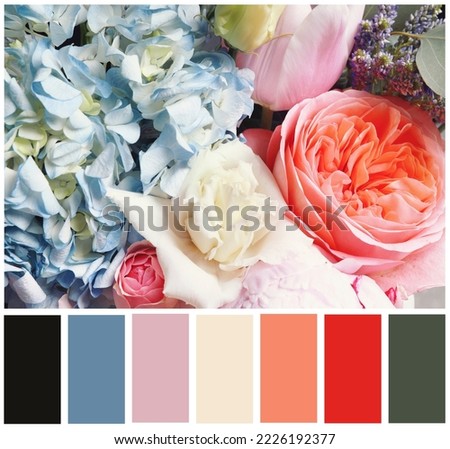 Beautiful fresh flowers and color palette. Collage