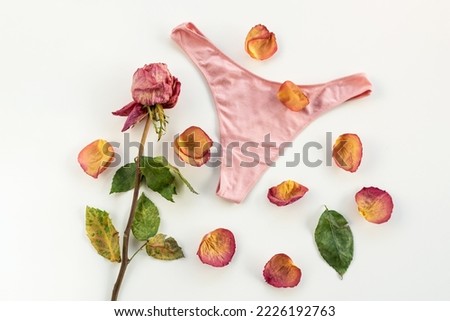 Pink dried rose and woman underwear. Concept of menopause and women's health problems, withered female beauty and the cessation of monthly menstrual cycles. World menopause day. Top view, flatly