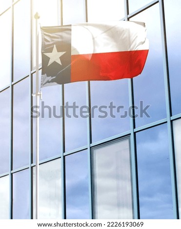 Flag of State of Texas on a flagpole