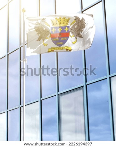 Flag of Saint Barthelemy on a flagpole