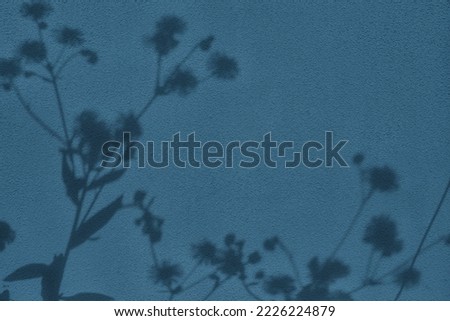 Shadow of grass flowers on navy blue concrete wall texture with roughness and irregularities. Abstract trendy colored nature concept background. Copy space for text overlay, poster mockup flat lay 