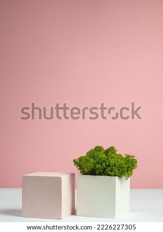 Cubic podiums in white and pink and moss green. Still life for presentation cosmetic products. copy space.