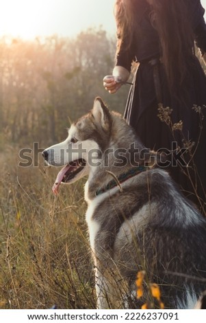 Cute dog and owner scenic photography. Lovely domestic animal. Picture of pet with autumn forest on background. High quality wallpaper. Photo concept for ads, travel blog, magazine, article
