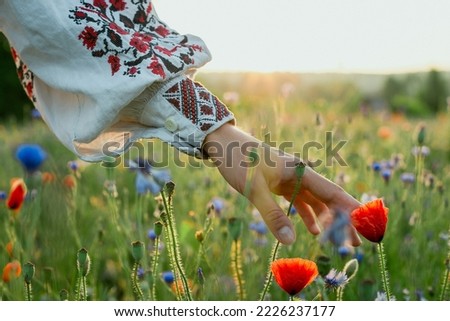Close up lady caressing poppy concept photo. Beautiful field. Front view photography with sunlit meadow on background. High quality picture for wallpaper, travel blog, magazine, article