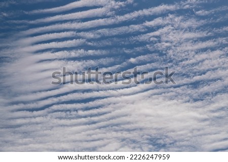 Beautiful blue sky with white Altocumulus undulatus clouds. Stratocumulus cloud texture, blue sky background.