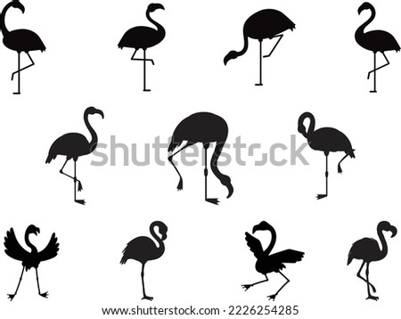 Flamingo Collections isolated vector Silhouette 