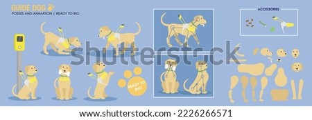 Cute golden retriever guide dog with harness various poses. ready to animate vector ready for rigging and animation. Working dog cartoon with accessories.  Royalty-Free Stock Photo #2226266571