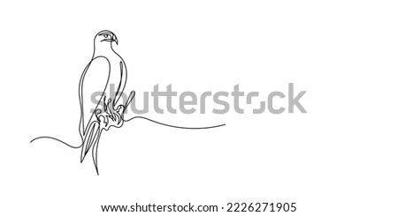 continuous line eagle perching.line art eagle perching on a branch