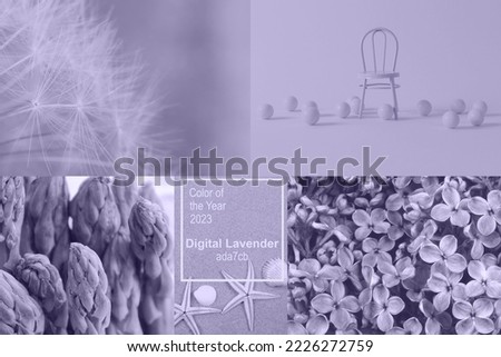 Digital Lavender Color of the Year 2023. Collage of photos in trendy color with chair, dandelions fluffs, asparagus, starfishes, lilac flowers. Text Color of the year 2023 Digital Lavender.