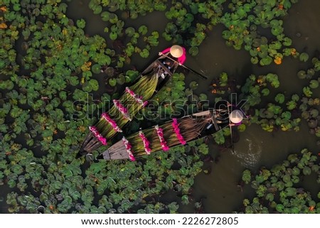Water lily harvesting in southern Vietnam Royalty-Free Stock Photo #2226272805