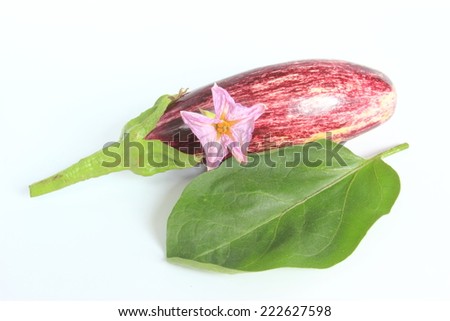 Eggplant (Solanum melongena) fruit with leaf and flower isolated in front of white background