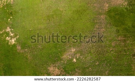 Perpendicular aerial view of green grass field Royalty-Free Stock Photo #2226282587