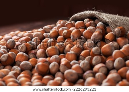 Hazelnuts, filbert on old wooden table. heap or stack of hazel nuts. Hazelnut background, healty food. Royalty-Free Stock Photo #2226293221