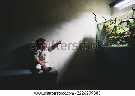 A small cute surprised baby sits on a pouf in a dark room and points finger at the beautiful freshwater aquascape with live aquarium plants, Frodo stones, redmoor roots covered by java moss. Royalty-Free Stock Photo #2226299383